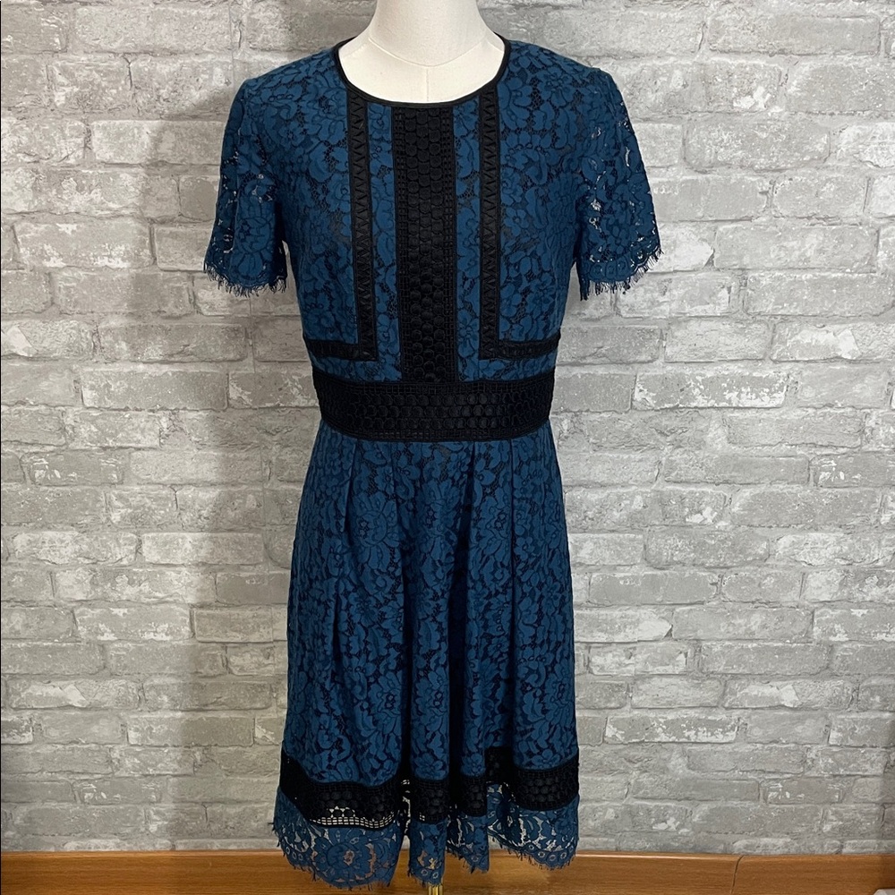 Eliza J Navy and Black Lace Midi Dress